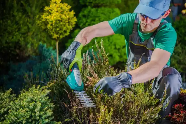 landscaping services Evendale